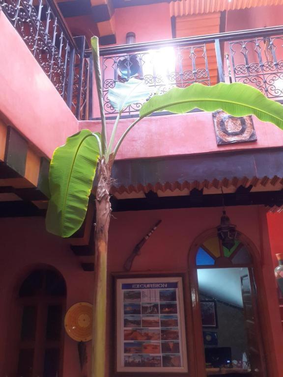 Riad Hanafi Маракеш Екстериор снимка
